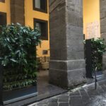 Muri viventi di Botanika Muri viventi di Botanika