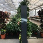 Muri viventi di Botanika Muri viventi di Botanika