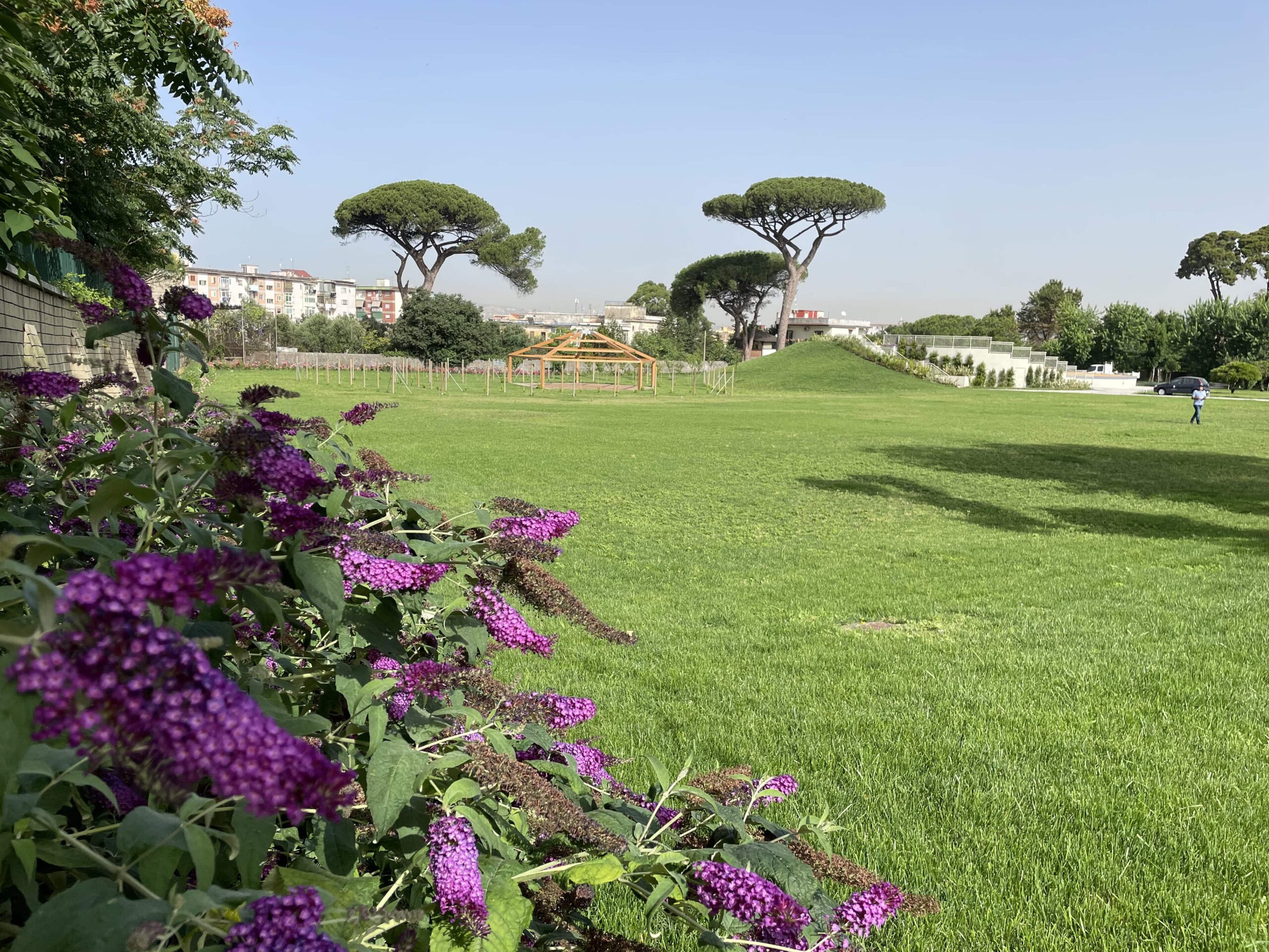 I Parchi Urbani di Botanika