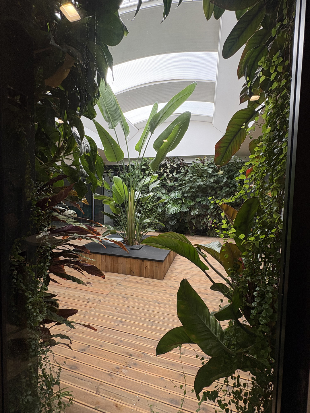 02_giardini_verticali_interni_botanika