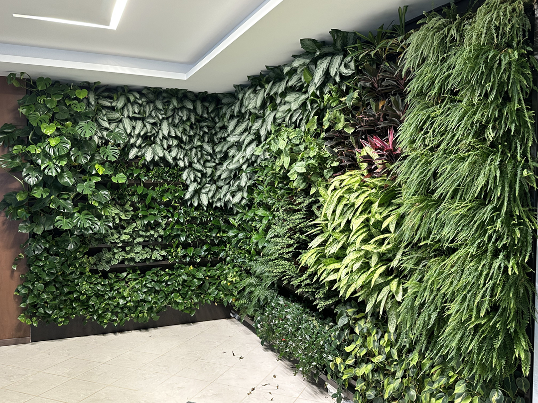 04_giardini_verticali_interni_botanika