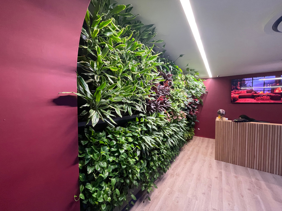 06_giardini_verticali_interni_botanika