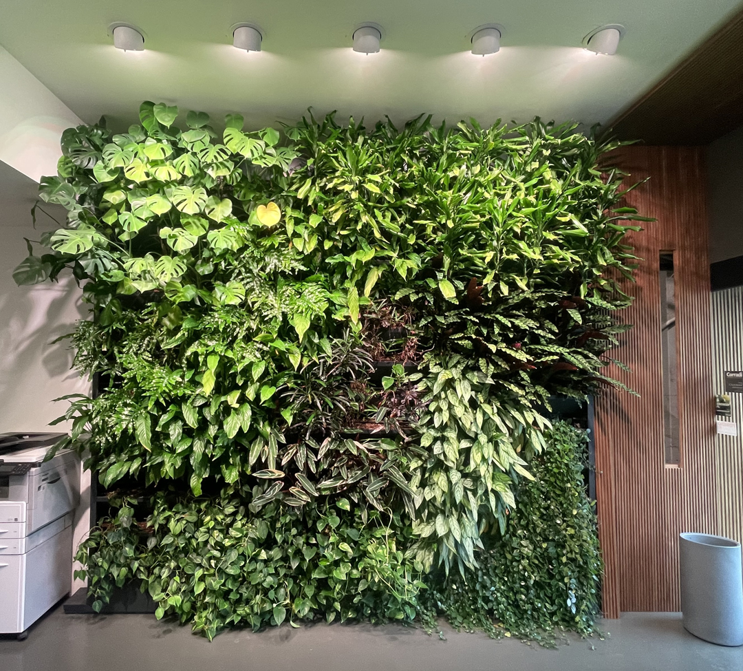 10_giardini_verticali_interni_botanika