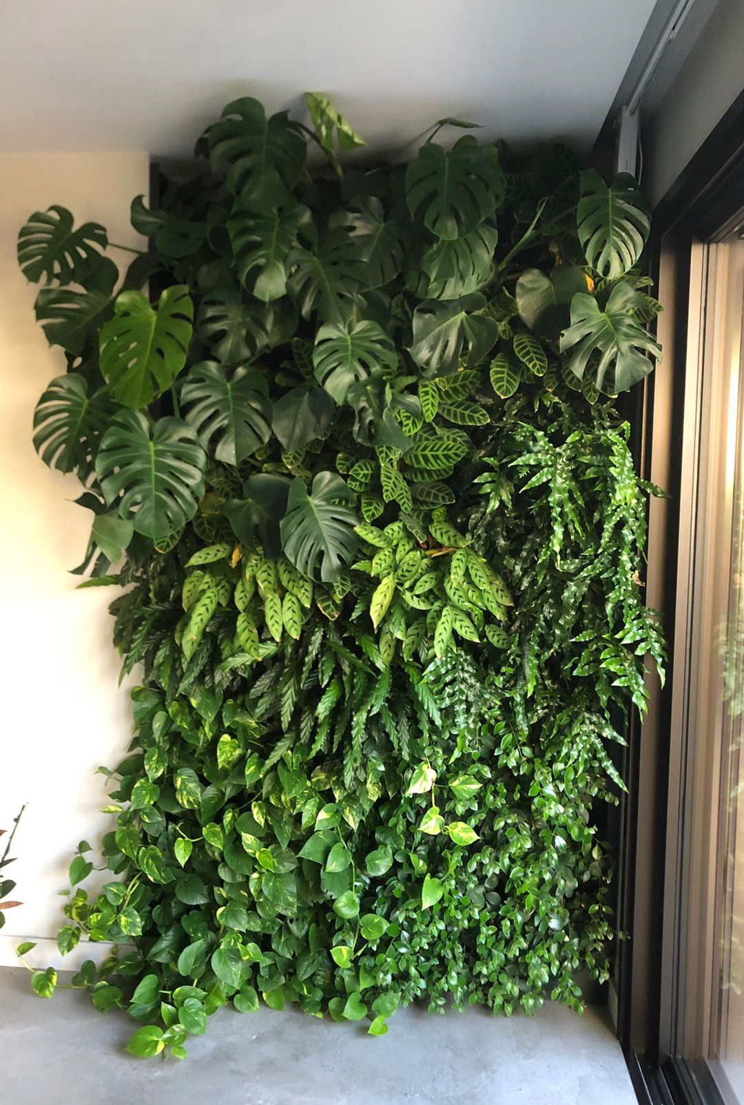 11_giardini_verticali_interni_botanika